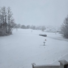 Believer- Imagine Dragons (Cover)