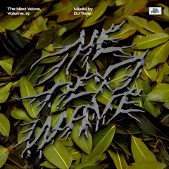 The Next Wave, Volume. 19 - Mixed By DJ Taye