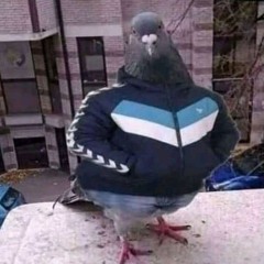DnB