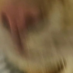 reissnacks<33333333333333333333333