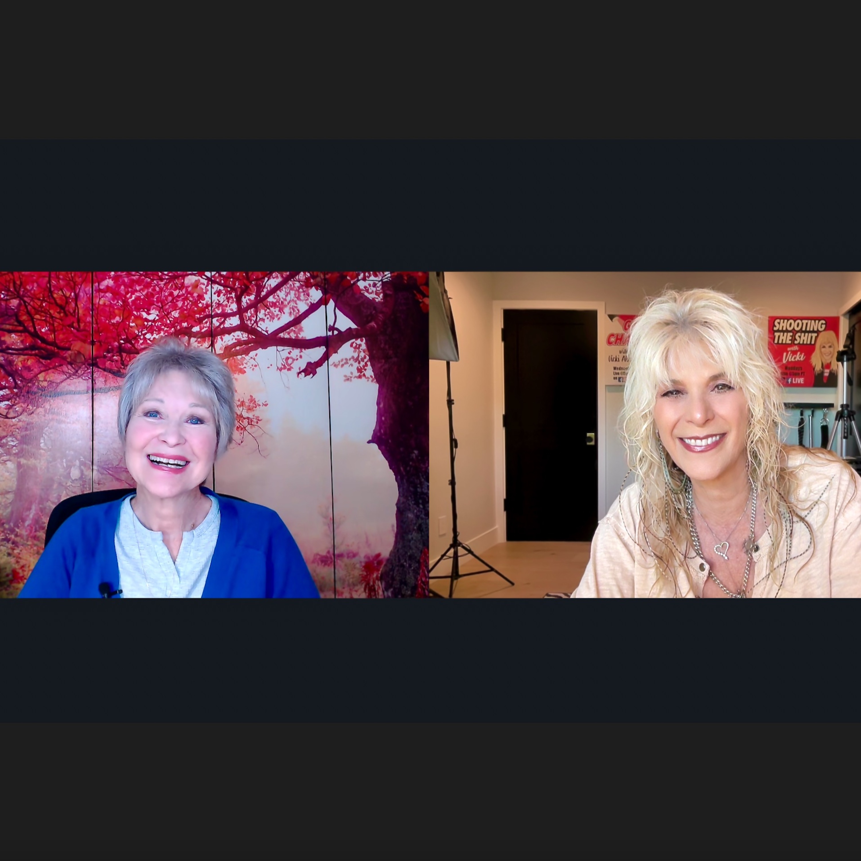 Game Changers With Vicki Abelson