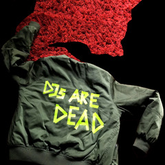 DJs Are Dead - Lesung @Kalif Storch / Herbstlese Erfurt - Teil 2 Nasenflöte, NYC, Tunnel des Erfolgs