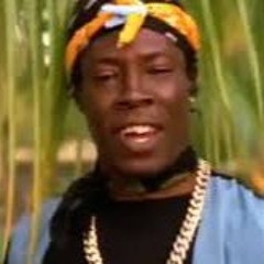 Shabba Ranks- A Mi Shabba Showcase- High Seat, Gal Nuh Ready & Medal and Certificate