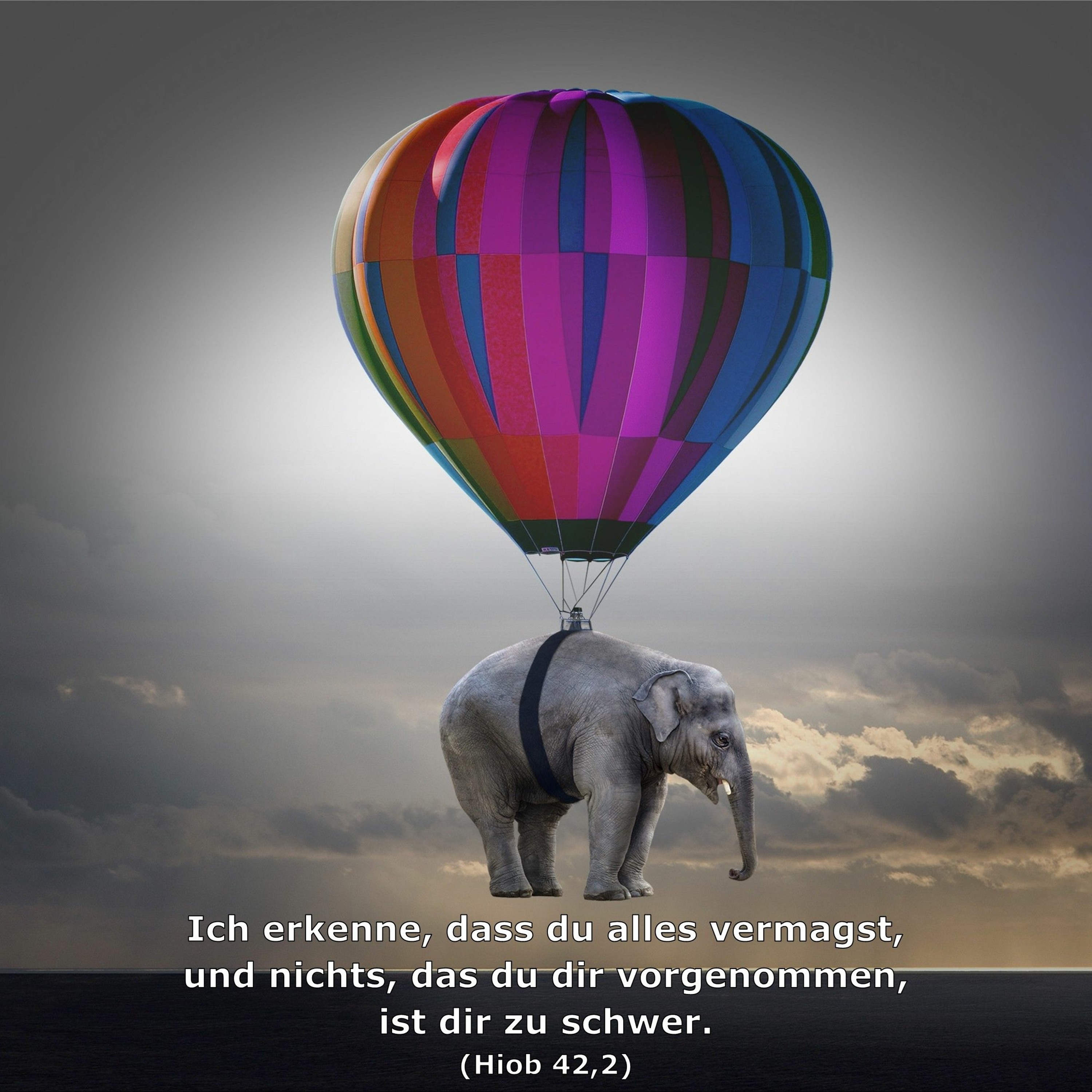 In einem Jahr durch die Bibel