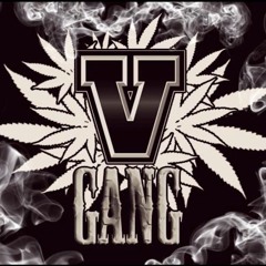 5 Etapa - 5 Gang