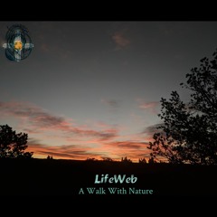 Curtis C - A New Dawn