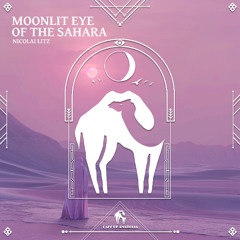 Nicolai Litz - Eye of the Sahara [Cafe De Anatolia]