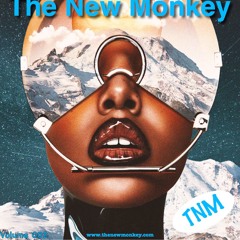 The New Monkey Volume 002 DJ IRISH MC VIBE