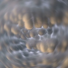 clicker