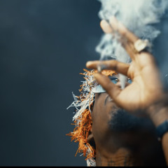 YOUNG GLEESE - GLEE SHIT
