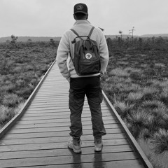 Avicii - Levels (Slowed + Reverb)