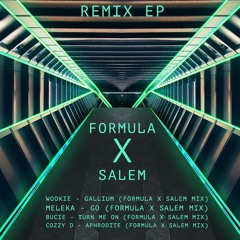 01 Wookie - Gallium (Formula x Salem Mix)