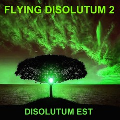 Flying Disolutum 2