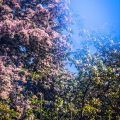 PiNK GLiTTER (Instrumental) (feat. Kid Joi)