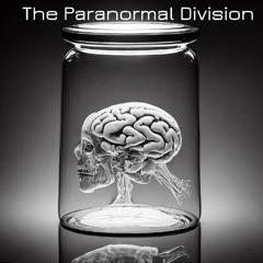 The Paranormal Division Friendbot 2.8
