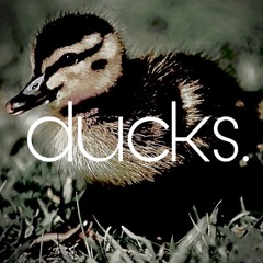 Fields (instrumental)