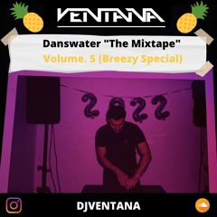 Danswater vol. 5 (Breezy Special) | CHRIS BROWN MIX