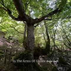 In The Arms Of Giants