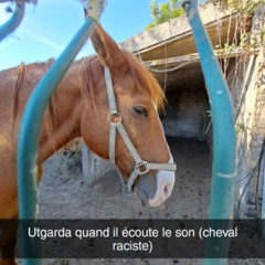 Moins que vous