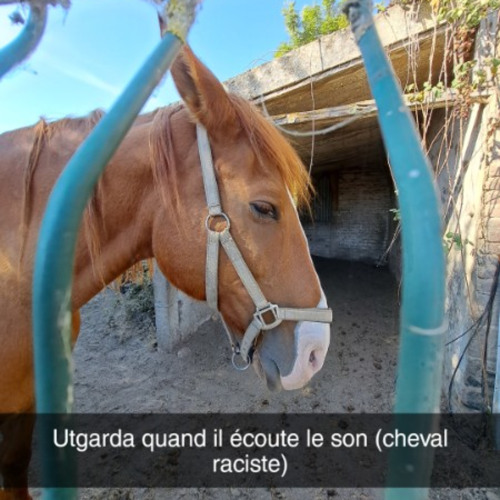Moins que vous