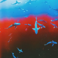 Dan Molinari - Rock The Rhythm (Grüv Pool Flip)