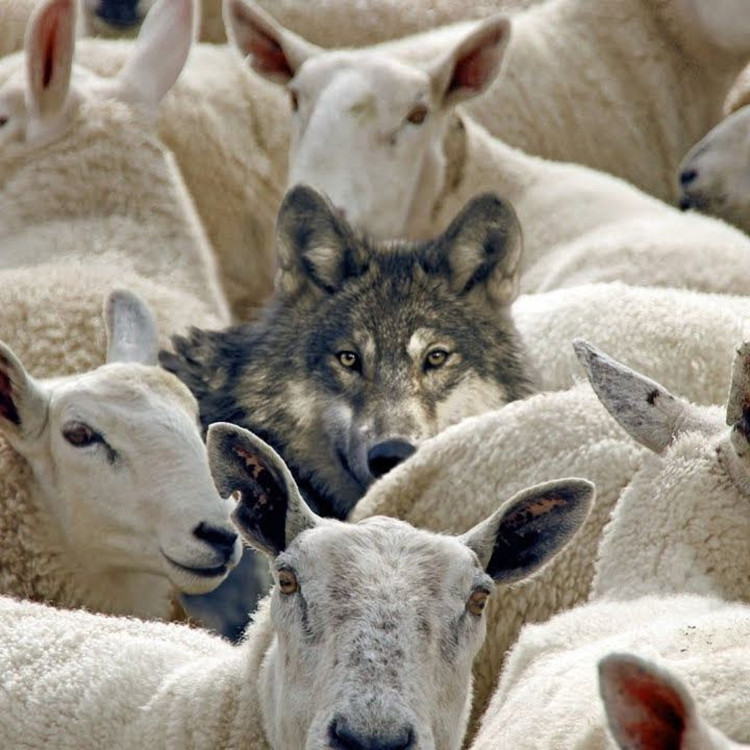 "THE MASTERS OF SPIN" - JUDGEMENT FOR PASTORS & ALL WHO SUPPORT THEIR SIN [ROMANS 1:32]