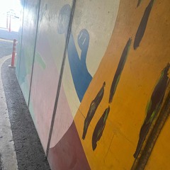カエル君の長い話。