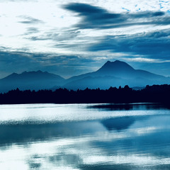 trần nhà