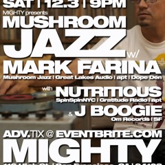 Nutritious & Mark Farina : Jet Set Radio : Evolution FM