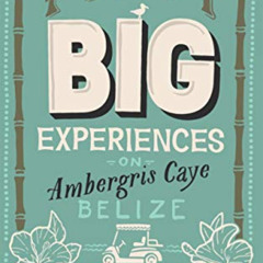 [View] EBOOK 🎯 Fifty Big Experiences on Ambergris Caye, Belize: A Small Things Guide