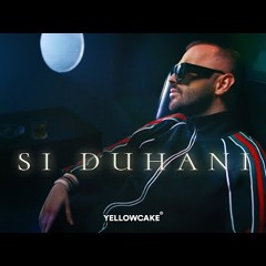 2TON - SI DUHANI (prod. by Dardd)