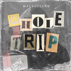 Whole Trip (S.N.O Wxdguapo)