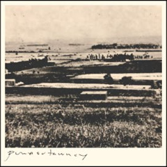 Punxsutawney - Jades Song