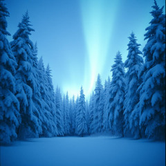 Love Song to Winter