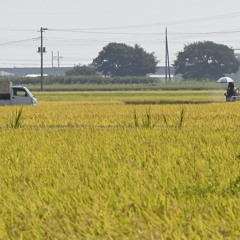 51.8 Truely Piano 20250904-8