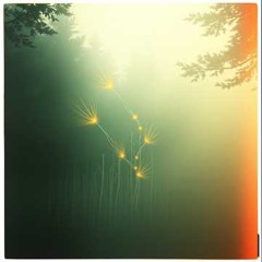 Sweet dreams freestyle