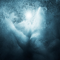 Echo Map - Sinking Into