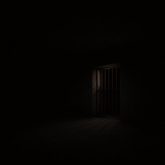 The Dark