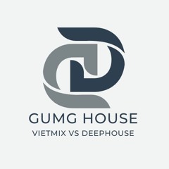 VIETMIX AND DEEPHOUSE