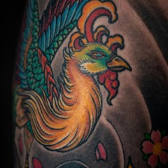 The Phoenix