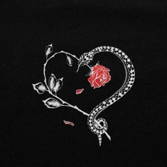 Your Love Every Night