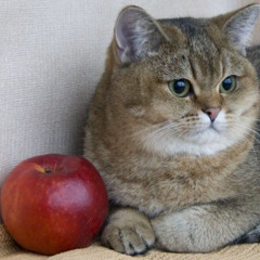 Castles In The Sky (Siloquez Trancegate Remix)