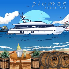 Plumas-Grupo 360
