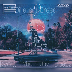 BB$ x 22Bz- Different Breed 2
