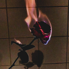 10,000 km (prod. Kuga)