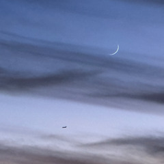 an essential rebirth