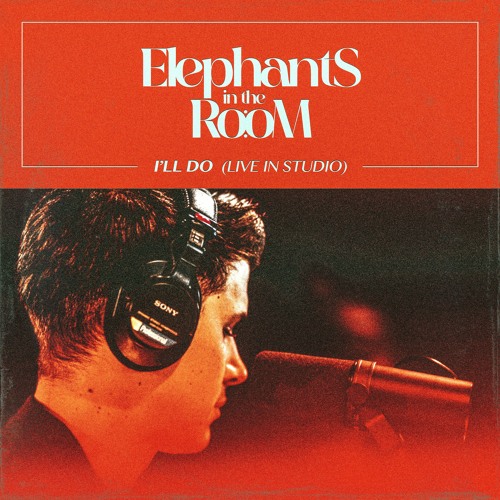 Elephants in the Room - I'll Do