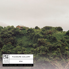 | PLEASURE GALLERY | w/ alec | E2