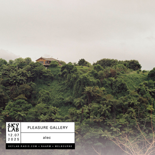 | PLEASURE GALLERY | w/ alec | E2