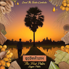The First Palm 🎵 ត្នោតដំបូង